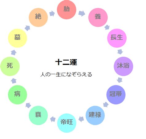 日柱沐浴|四柱推命 十二運の「沐浴」とは？性格、恋愛、仕事。